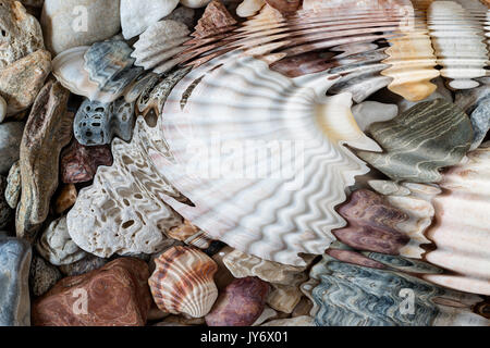 Detail of the water ripples above pebbles and seashells - digitally altered Stock Photo