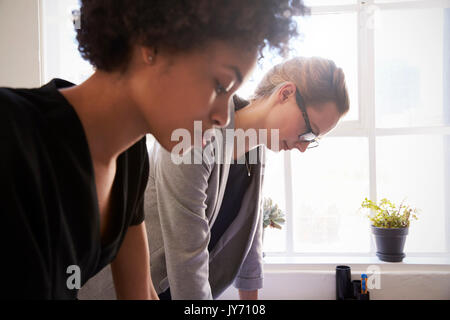 Two young businesswomen studying documents in an office Stock Photo