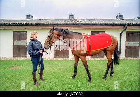 29++ Coombelands racing stables pulborough info