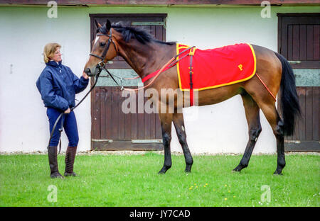 Racehorse Trainer Amanda Perrett At The Coombeland Racing Stables In Pulborough West Sussex Stock Photo Alamy