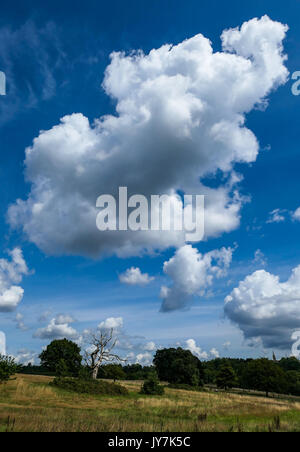 Cumulus clouds over Hampstead Heath, London Stock Photo