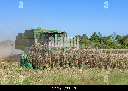 John Deere S550 combine harvester is cutting old harvested corn stalks to ready the field for next year's crop on a farm in central Alabama, USA. Stock Photo