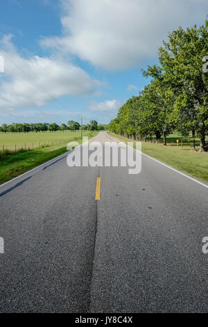 A a lonely tree lined county road in the rural south, outside of Montgomery Alabama, USA. No cars are visible on this straight section. Stock Photo