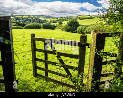 View through an open gate to the summer landscape of Exmoor National Park. Stock Photo