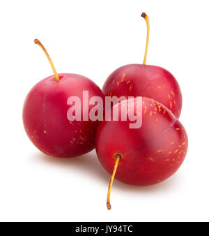 cherry plum path isolated Stock Photo