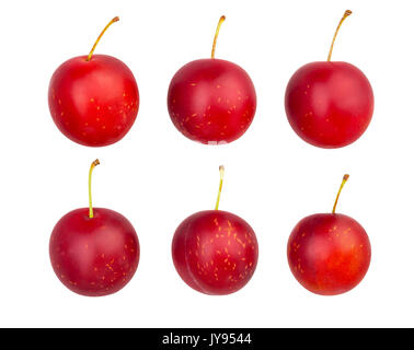 cherry plum path isolated Stock Photo