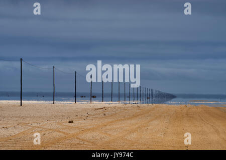 Teelephone poles along road C35 in namib Desert, east of Henties Bay in the Dorob National Park, fog in the background, Swakopmund District, Namibia Stock Photo