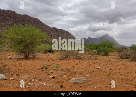 Rain clouds over the Otjipateraberge (Otjipatera Mountains), rainy season, Karibib Distzrict, Erongo Region, Namibia