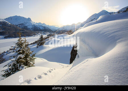 A sun veiled by the mists illuminates the footprints left by snowshoers at the Maloja Pass. Canton of Graubunden. Engadine. Switzerland. Europe Stock Photo