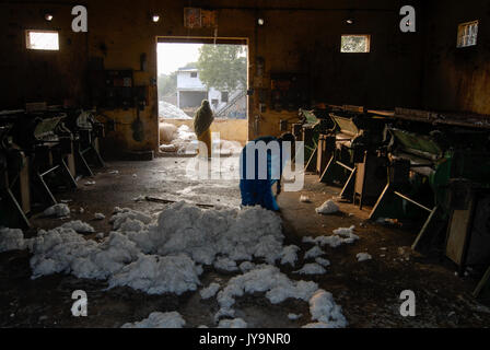 INDIA Madhya Pradesh , Kasrawad,  cotton farming, ginning factory / INDIEN Madhya Pradesh , Baumwollanbau, Entkernungsfabrik Stock Photo