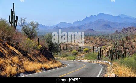 A road through Mexican desert in Baja California Sur. Landscape with cactus and mountains at the background Stock Photo