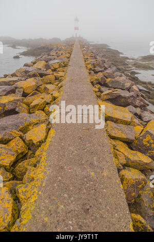 Long stone pathway with large boulders on both sides covered in yellow moss on a foggy day, leading up to a lighhouse on the island of St Pierre and M Stock Photo