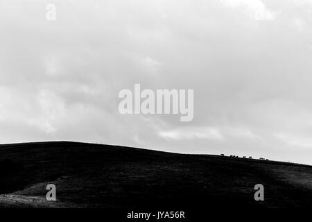 Some distant horses on top of a mountain, beneath a huge sky with clouds Stock Photo