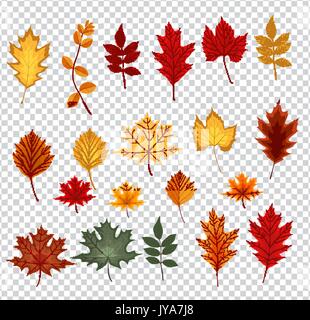 Abstract Vector Illustration with Falling Autumn Leaves on Trans Stock Vector