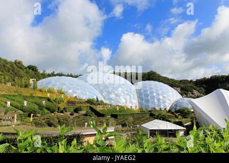 Eden Project, Cornwall, England – August 24, 2010: The world's largest rainforest in captivity with steamy jungles and waterfalls. Educational centre Stock Photo