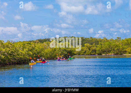 People kayaking in John Pennekamp State Parkin Key Largo in the Florida Keys. Stock Photo