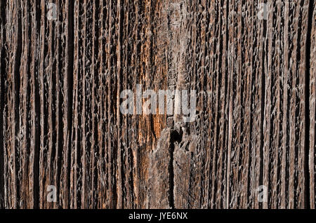 Texture, old, black wooden board with a large crack in the middle. Horizontal photo, wallpaper Stock Photo