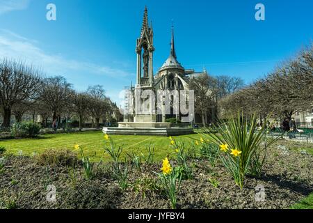 Flowers in Place Jean XXIII behind Cathedral Notre Dame, Paris, France Stock Photo