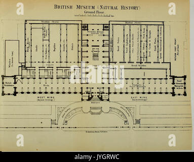 A general guide to the British Museum (Natural History), Cromwell Road, London, S.W BHL47920191 Stock Photo