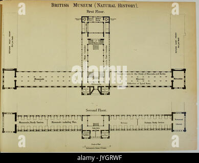 A general guide to the British Museum (Natural History), Cromwell Road, London, S.W BHL47920161 Stock Photo