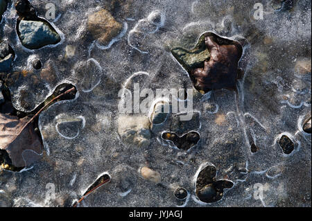 Frozen puddles with leaves frozen under sheet of ice making patterns and abstract images Stock Photo