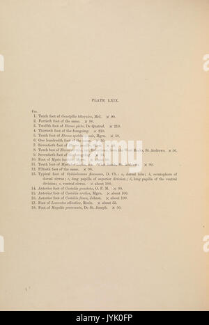 A monograph of the British marine annelids 1908 LXIXtext Stock Photo