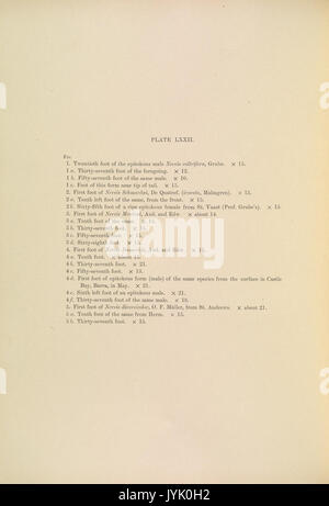 A monograph of the British marine annelids 1910 LXXIItext Stock Photo