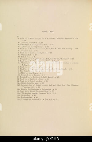 A monograph of the British marine annelids 1910 LXXVtext Stock Photo