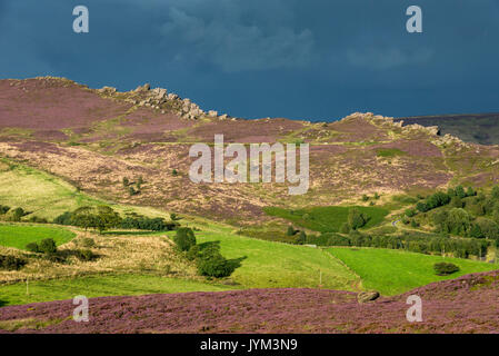 Dramatic view of Ramshaw rocks in sunlight with dark, moody sky in the background. Viewed from The Roaches, Peak District, England. Stock Photo