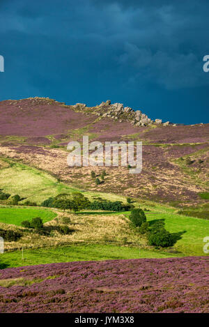 Dramatic view of Ramshaw rocks in sunlight with dark, moody sky in the background. Viewed from The Roaches, Peak District, England. Stock Photo