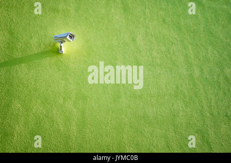 Closed circuit television (CCTV) camera on a green building wall, space for text. Stock Photo