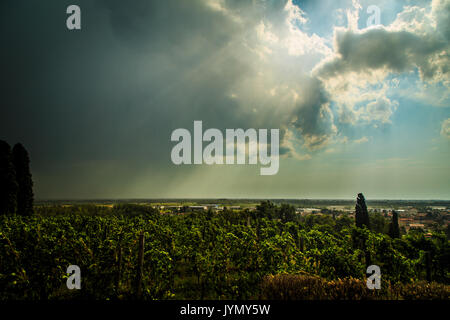 Storm is approaching the vineyards in the fields of Collio, Italy Stock Photo