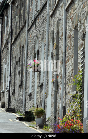a row of old stone built 19th century workers cottages in Cornwall facing directly onto the street with hanging baskets outside houses housing. Stock Photo