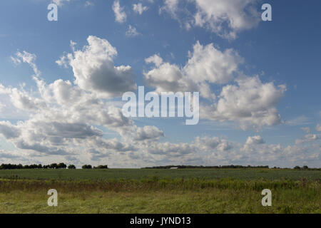 White puffy clouds on a beautiful day over a field. Stock Photo