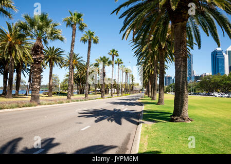 Palm trees along empty Riverside Drive next to Langley Park, Perth City, Western Australia Stock Photo