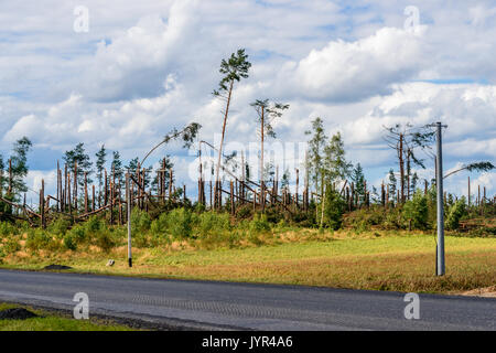 Trees fallen by tornado in Northern Poland. August 11, 2017 Stock Photo
