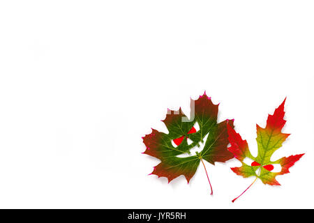Halloween background - multi-colored scary faces with red eyes from maple leaves. White background. Copy space Stock Photo