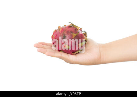 rotten dragon fruit in hand isolated on white background Stock Photo