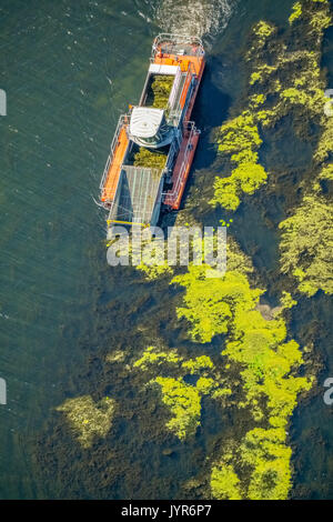 Mile ship on the Kemnader reservoir, Cemnade, Ruhrverband, combat Elodea, waterweed Elodea nuttallii, Nuttall's waterweed, Witten, Ruhr area, North Rh Stock Photo