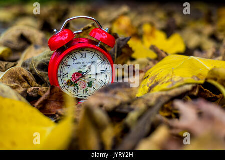 Red vintage alarm clock in autumn leaves Stock Photo