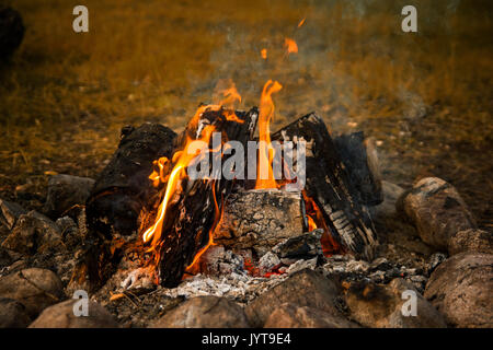 large campfire, bonfire outdoors with burning coals and flames Stock Photo