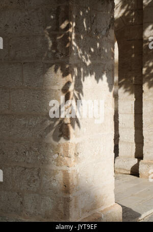 Shadows of tree branches on archway columns Stock Photo