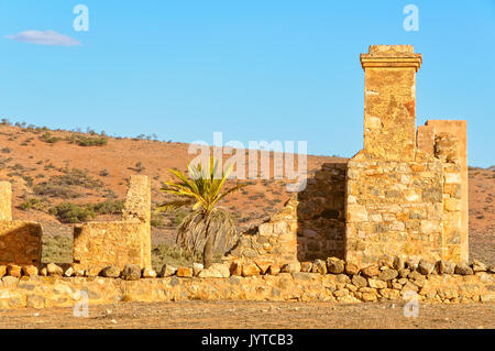 Palm tree in the ruins of Kanyaka Station - Flinders Ranges, SA, Australia Stock Photo