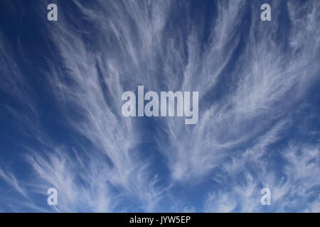 Weather - cirrus uncinus clouds against a blue sky with copy space Stock Photo