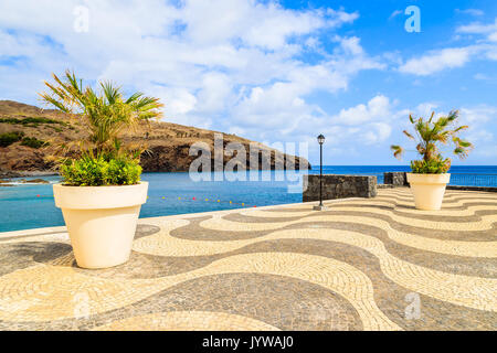 Palm trees in pots on coastal promenade along ocean near Canical town, Madeira island, Portugal Stock Photo