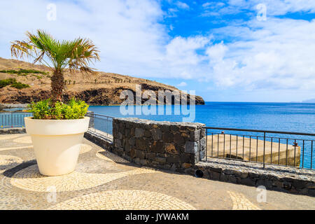 Palm tree in pot on coastal promenade along ocean near Canical town, Madeira island, Portugal Stock Photo