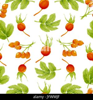 Seamless autumn pattern with berries and leaves rosehip plants. Vector illustration. On white Stock Vector