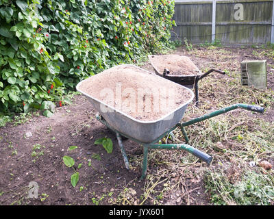 two wheelbarrows in the garden full of dirt; England; UK Stock Photo