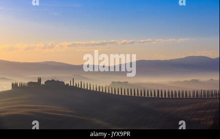 Tuscan landscape with cypress trees and farmstead at sunrise, dawn, San Quirico d'Orcia, Val d'Orcia, Tuscany, Italy Stock Photo