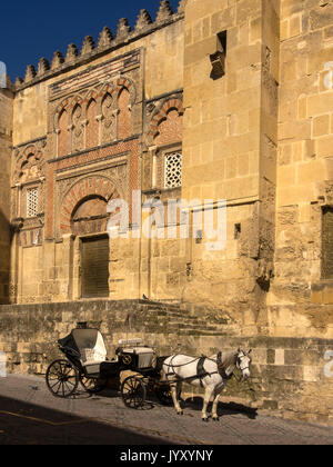 CORDOBA, SPAIN - MARCH 12, 2016:  Horse and carriage waiting for tourist fare in front of Cathedral Stock Photo